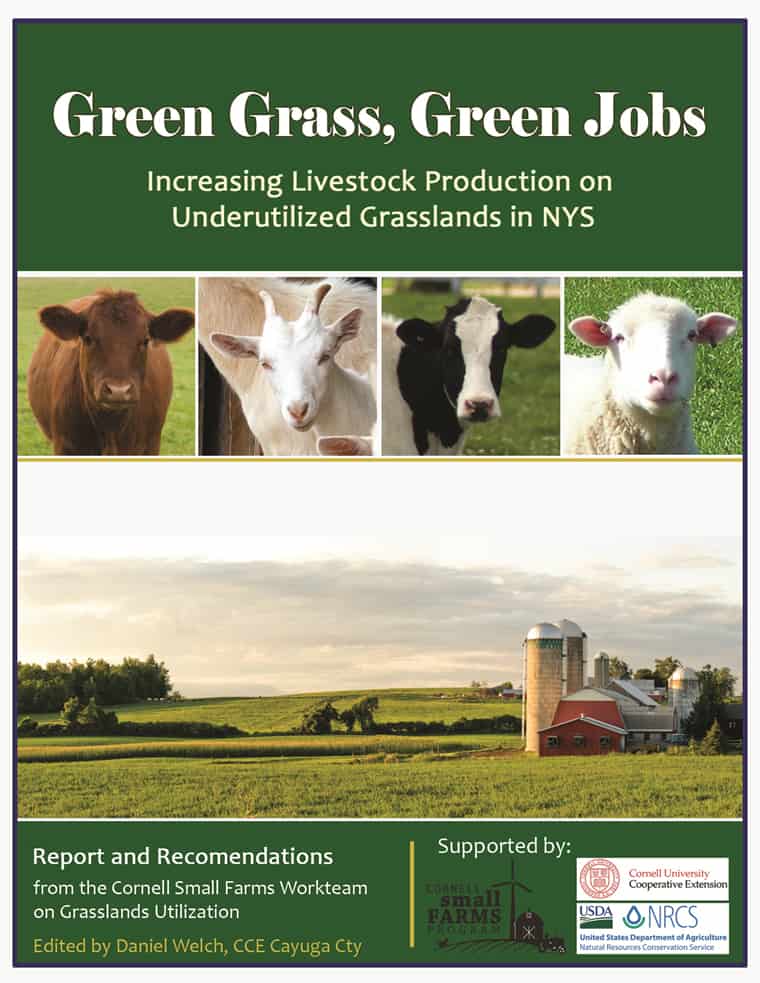 flyer for green grass, green jobs 