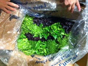 lettuce pack