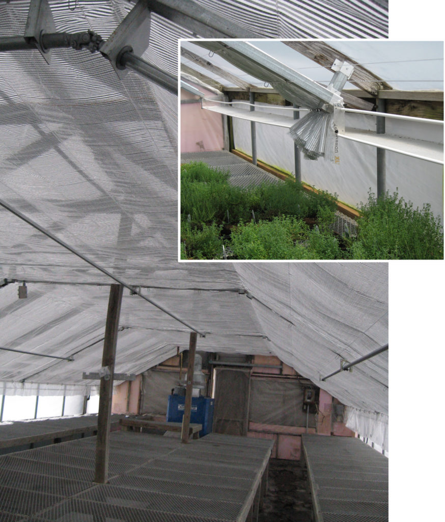 Soap Bubbles to Insulate Greenhouses A New Approach to Energy