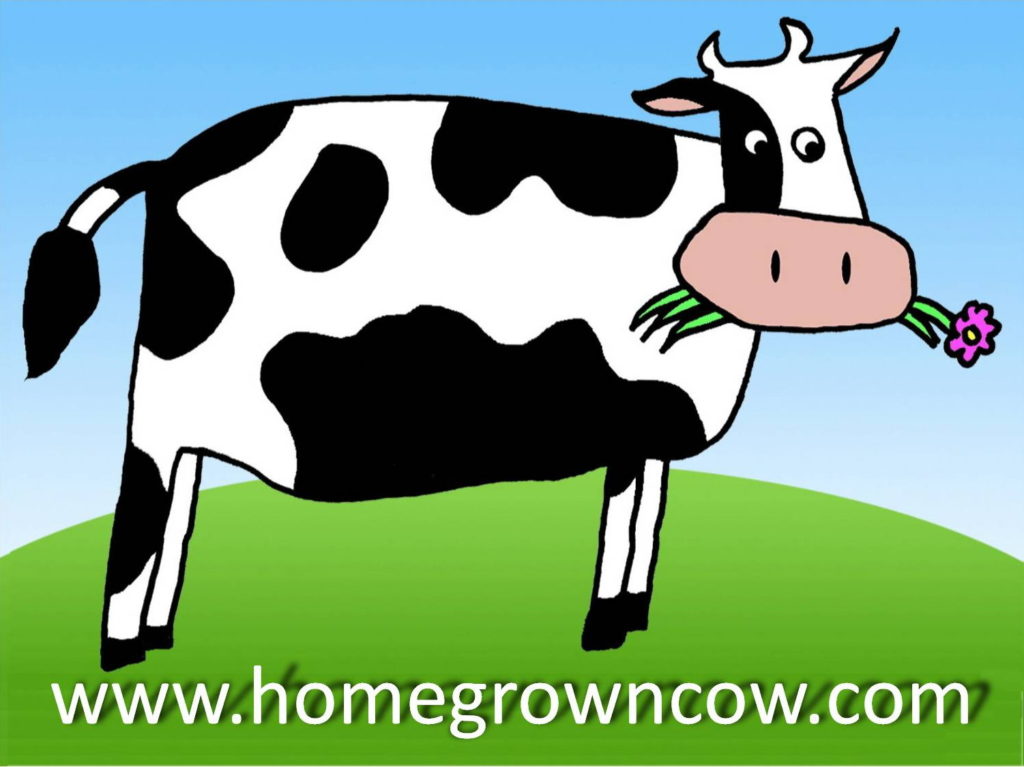 homegrown cow logo