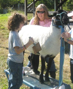Meaghan fitting her sheep at the Hammond Fair