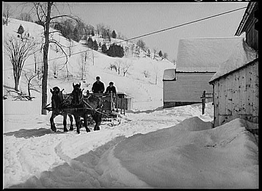 people in a horse drawn carriage in the snow