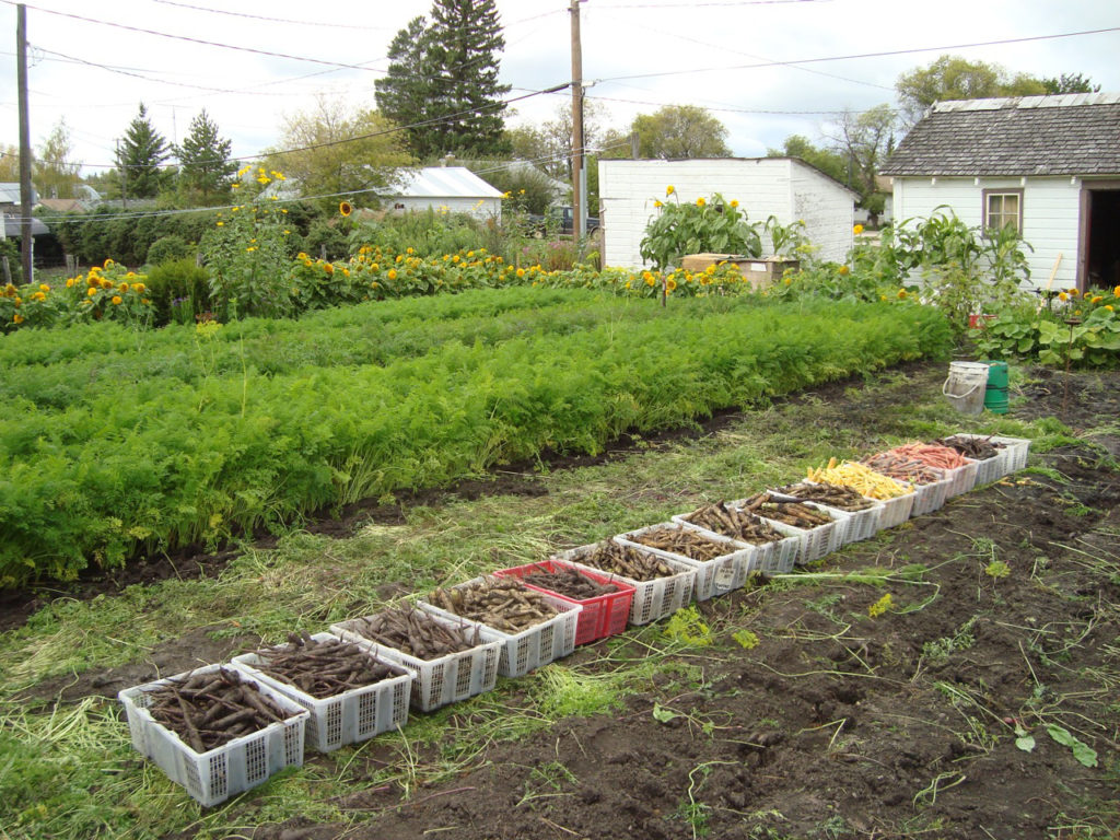 SpinFarming3 28k4mgj