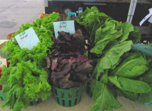 lettuce at market 13sjtjy