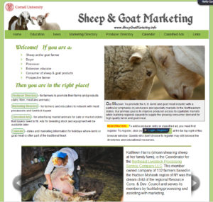 SheepMarketingWebsite 2ey33kj