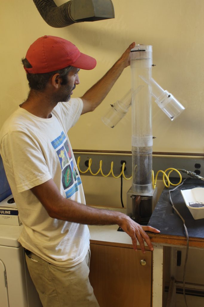 Fruition Seeds A Model for Collaborative, Regional Seed Development