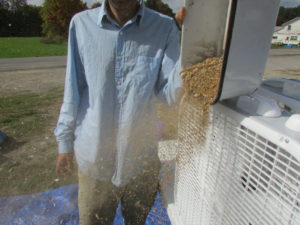 Often simple tools, like this box fan, are your best tools for separating seed from chaff.