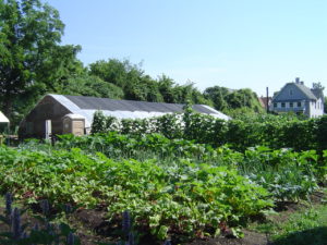 Binghamton Urban Farm.