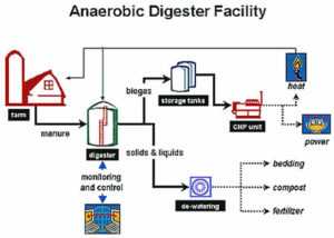 Anaerobic- Ad facility