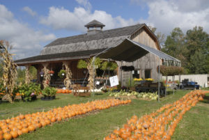 Farmers Market at Rt 13 of New York State