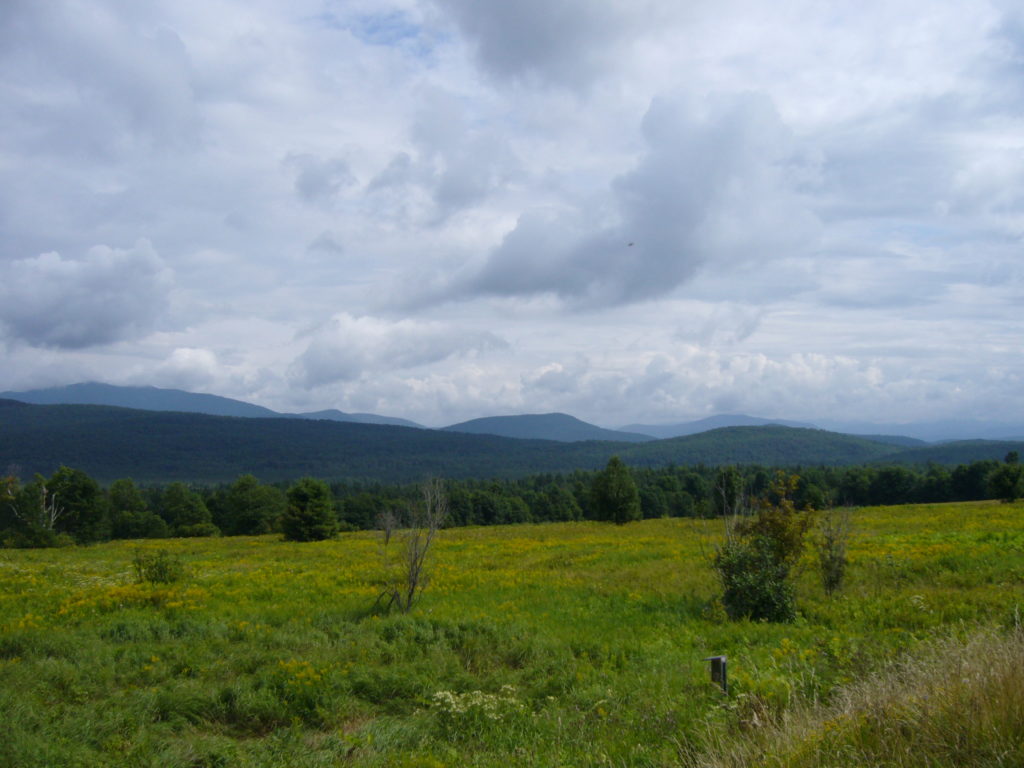 For Rent Cheap Grazing Land? Cornell Small Farms