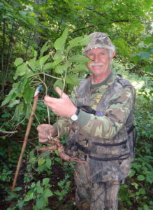 The author and one of his ginseng plants.