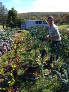 Farmer Molly at Colfax Farm helped us glean a variety of extra vegetables this past October. Photographer: Elizabeth Burrichter