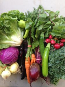 A Premium share from Early Morning Farm - $32/week (10-12 items). Photographer: Emma Lecarie