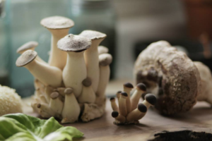 Trumpet and shiitake mushrooms are two of the more recognizable varieties grown by Mycopolitan Mushroom Company. It also grows fluffy white Pom Poms and glossy amber Namekos.