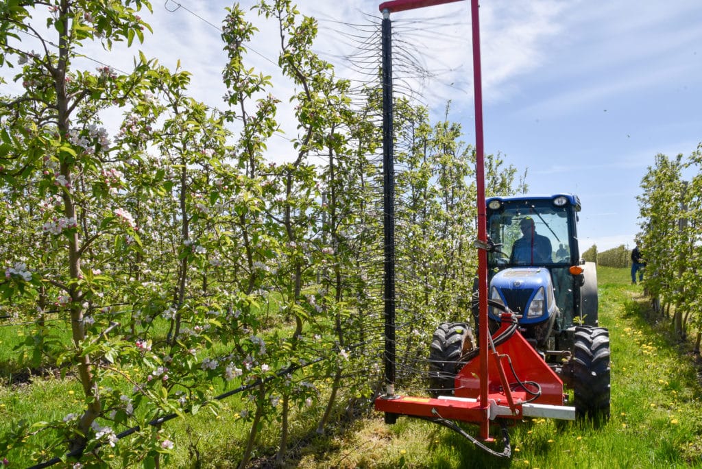 Extension and NYS Apple Growers Partner on Innovation Cornell Small Farms