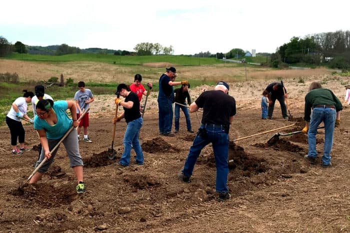 eleven people in a field digging holes