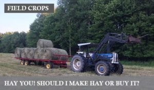 11 Hay You Should I Make My Hay or Buy It by Rich Taber 19xh88n