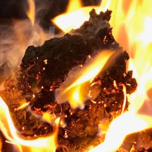 burning cow patty briquette 2j083ja