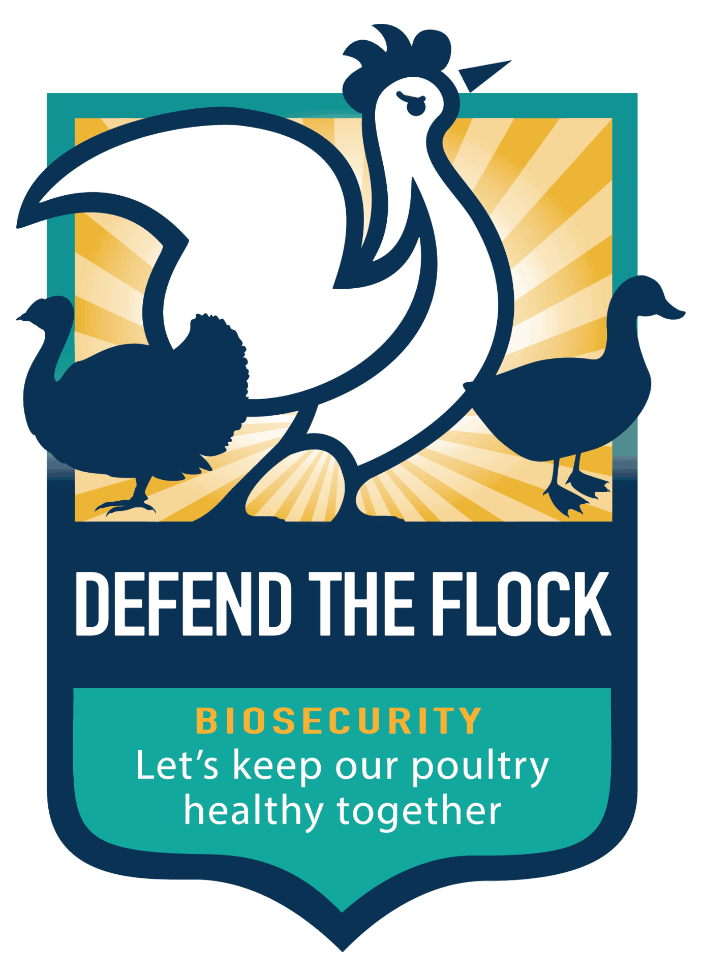 "Defend the Flock" USDA Campaign Aims to Protect Poultry Health