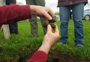 Two hands hold up a soil clod in a field