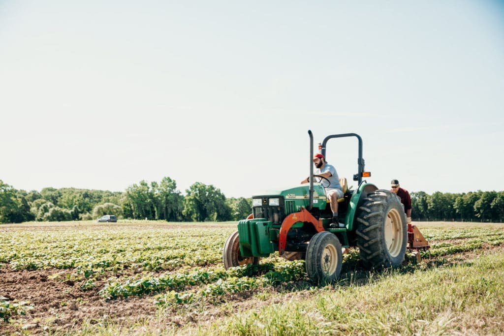Person driving tractor in green field 