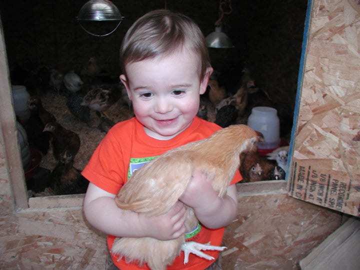 a child holding a chicken