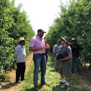 Summer Fruit Tour 2019 Luis e1739371745238