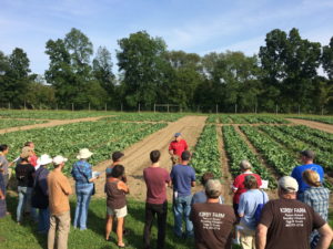 visitors gather in front of researcher at reduced tillage field day