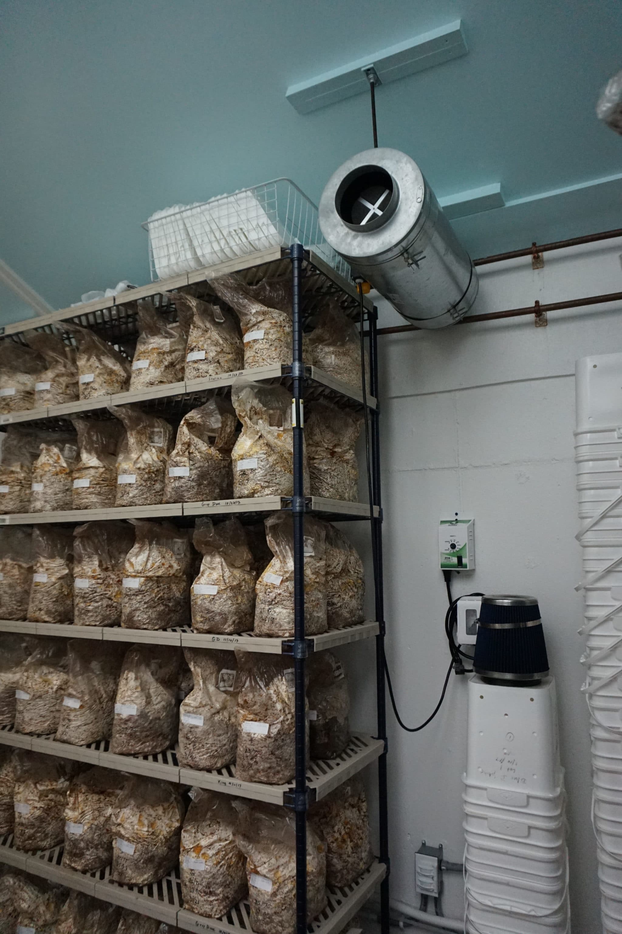 Indoor mushroom farm in New York