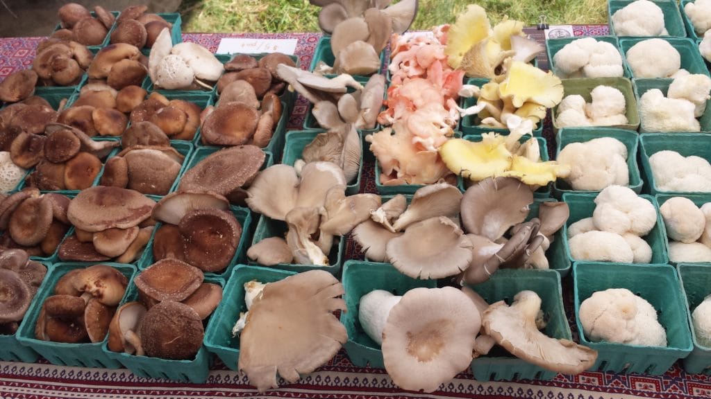 Mushrooms at Farmers Market. 
Willie Crosby / Fungi Ally
