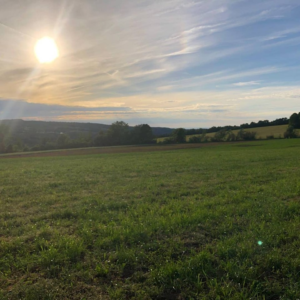 Farm fields and setting sun