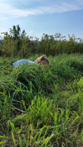 SFQ climate farm grass