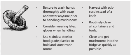 Sanitation Checklist