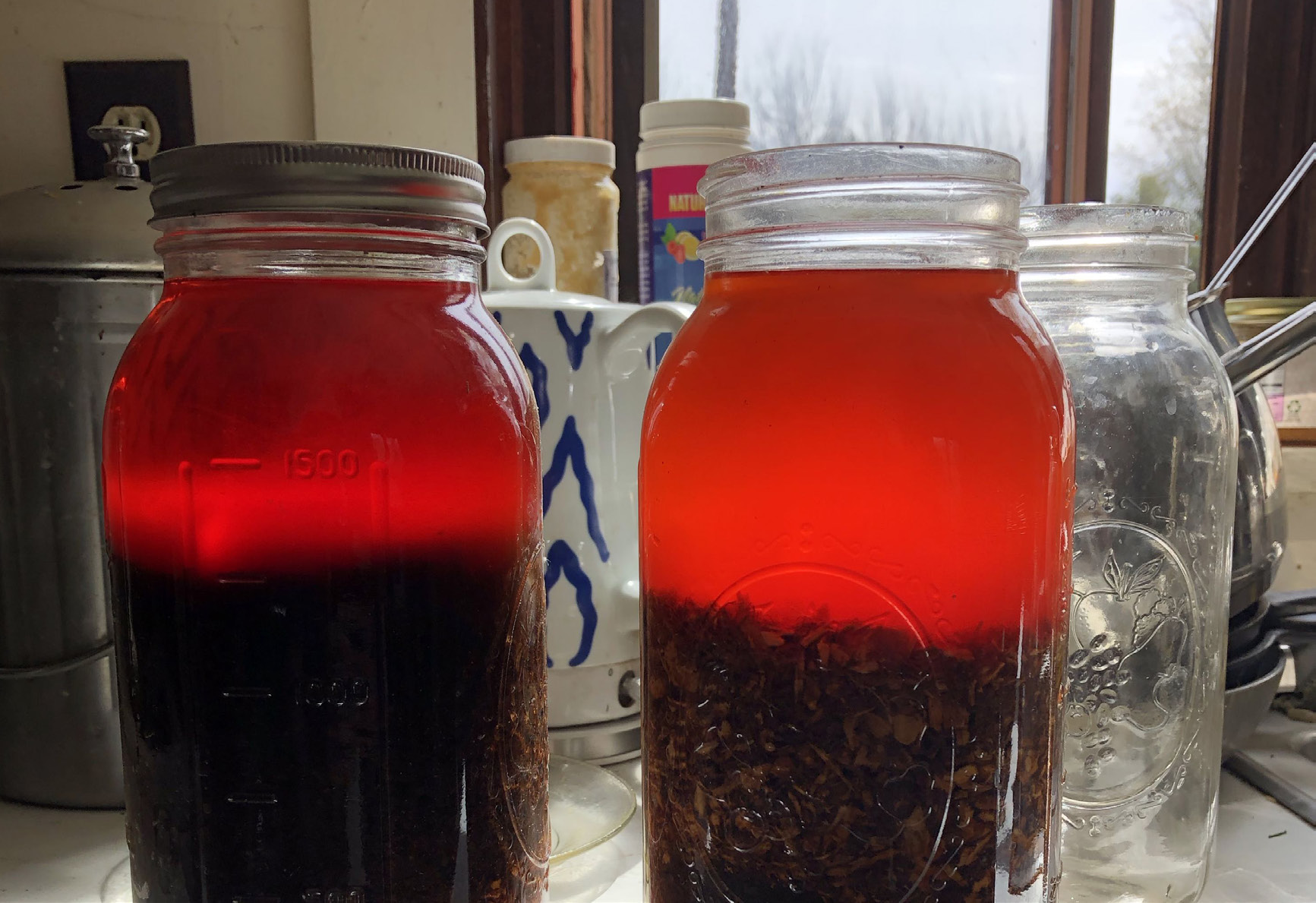 Jars of Mushroom Tea