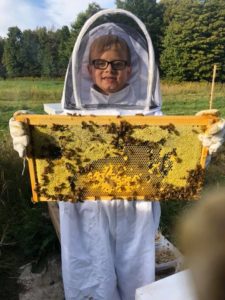 veteran farmer bees