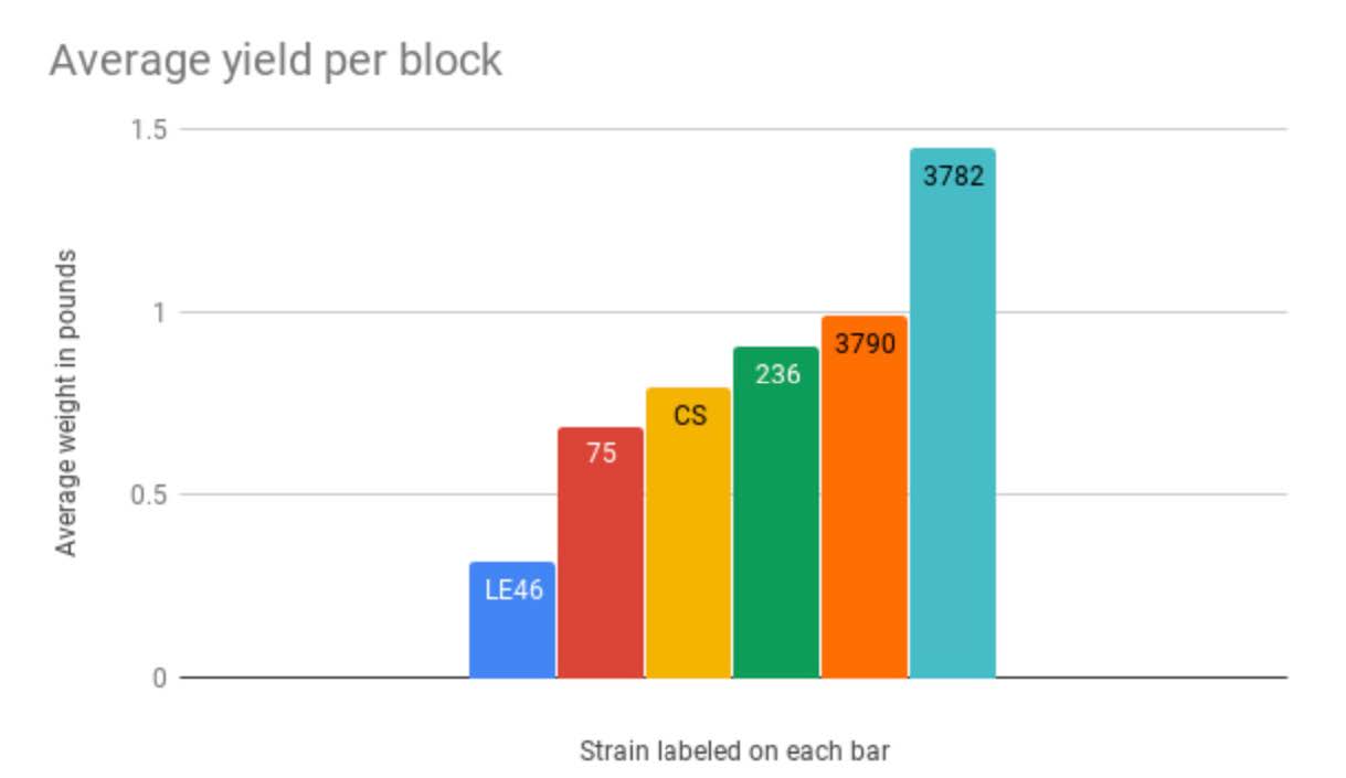 This chart shows the average yeild of different strains of innoculated blocks.
