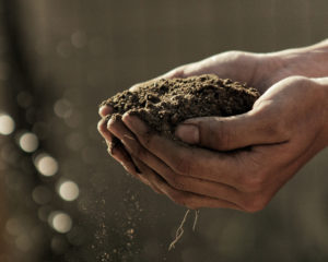 farm hands soil unsplash