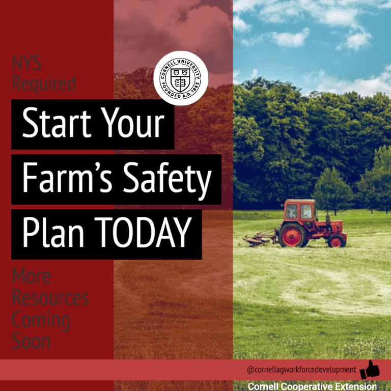 cornell small farms business plan