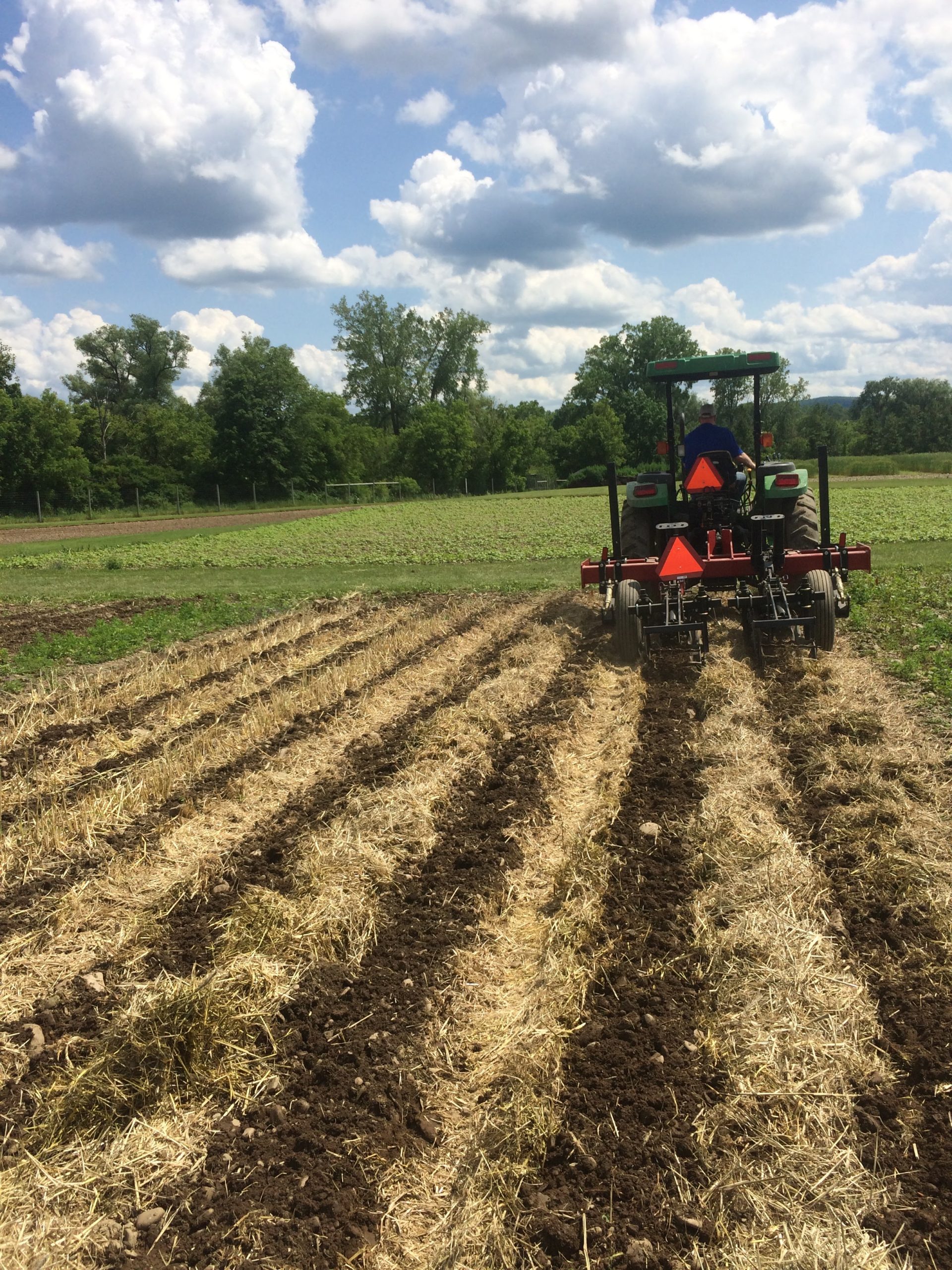 Strip tillage in mowed cereal rye and hairy vetch residue. Equipment can be used to manage residue and prep the soil for planting in one pass.