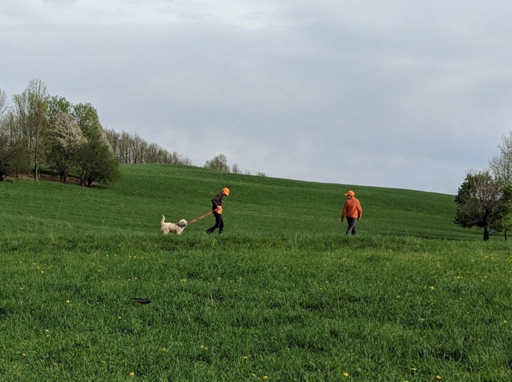 Two children walk a Great Pyrenees puppy across a field.