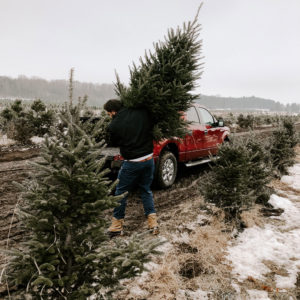 christmas tree farm truck person insta unsplash