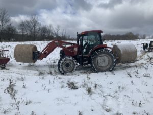 tractor carrying hay bale