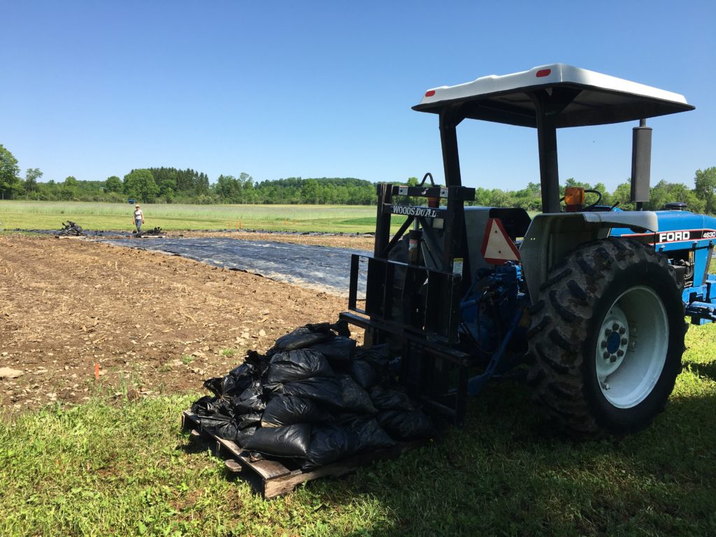 Tarps need to be weighed down, especially in windy areas. Sandbags can be stacked and transported on a pallet for easier transport across the farm. 