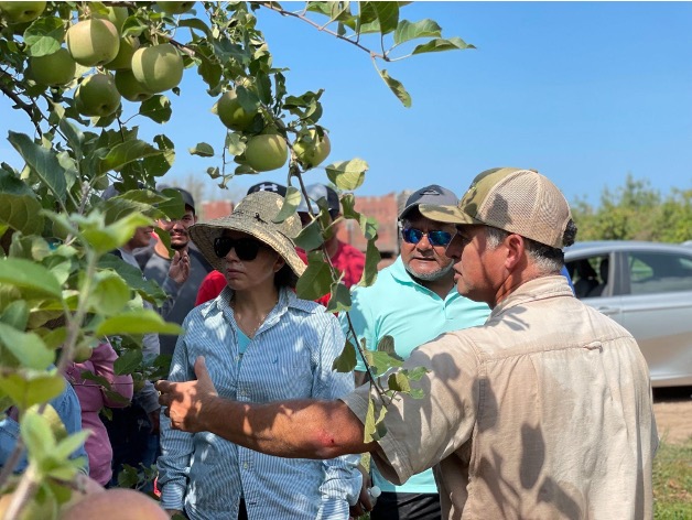 Mario Miranda Sazo (CCE LOF), Fruit Extension Specialist, discusses maximum tree growth and orchard system production practices with Silvia (left) and Sergio (center) Rosario, Owners of Rosario Brothers’ Farm in Medina, NY. Nicole Waters / Cornell Small Farms Program