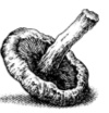 Black-and-white illustration of a shiitake mushroom