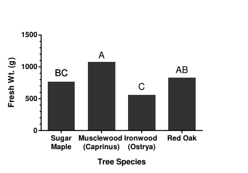 Bar graph comparing the yields of different species of logs.