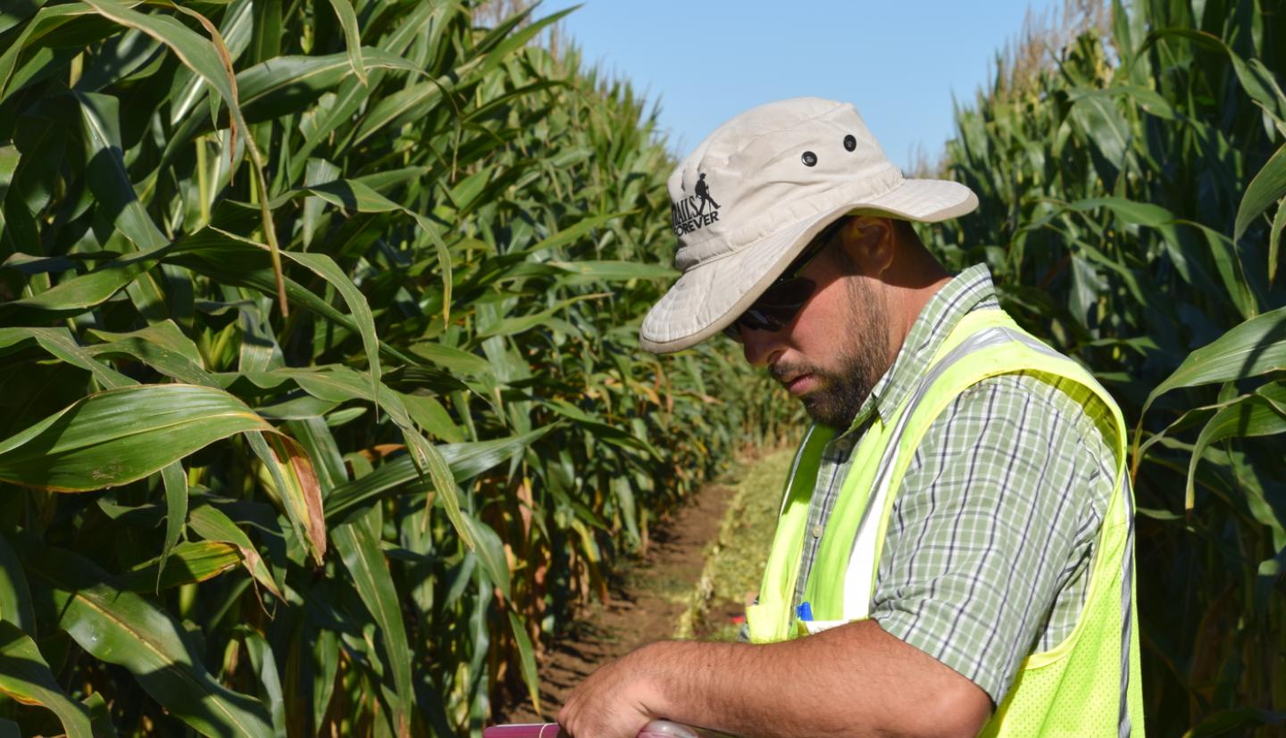 NY VT Corn Silage Program Enhances Purchasing Power for Farmers