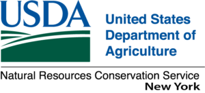 USDA NRCS NY Logo