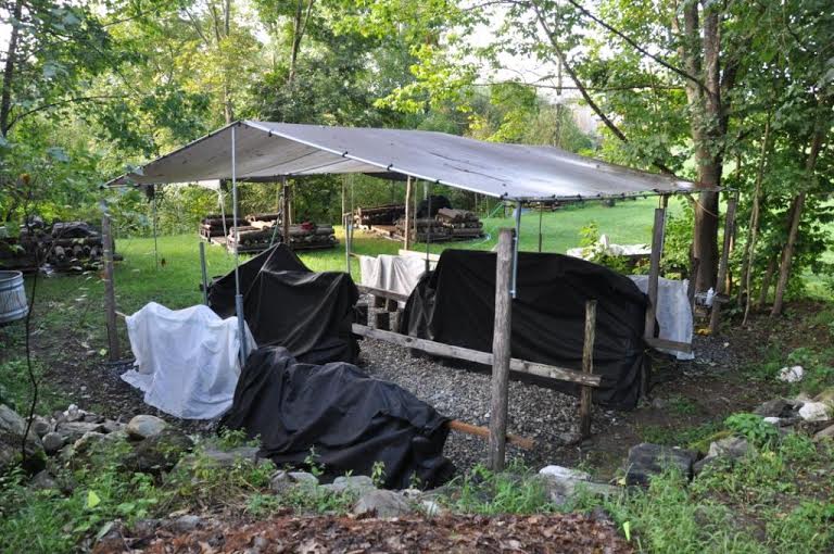 An erected tarp canopy shades several rows of fruiting logs stacked underneath shade and agricultural cloth